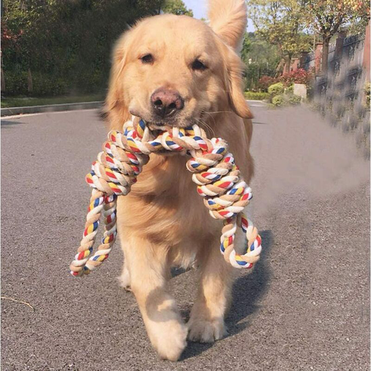 Durable Rope Toys Teeth Cleaning for Large Medium Dogs Chew Toys Interactive Pet Toys