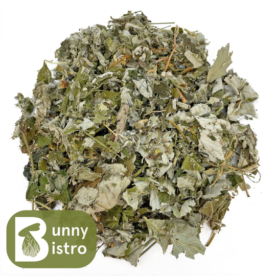 (1kg) Bunny Bistro Dried Raspberry Leaf - Rabbit Botanicals, Tortoise Food