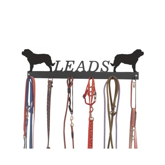 Alyn Wall Mounted Coat Rack