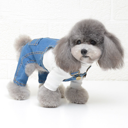 Yorkie jeans pet carrier pants dog denim carrier pants (m (chest 35', neck 24', back 25' for weight 5 pounds '), denim carrier pants - denim blue)