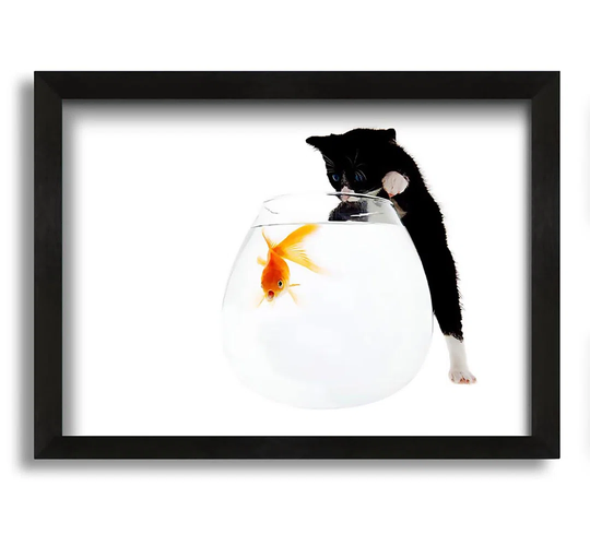 Kitten Fish Bowl - Picture Frame Graphic Art on Canvas