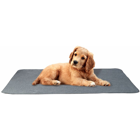 Dog Bed Washable,Grey, 61x41x8cm