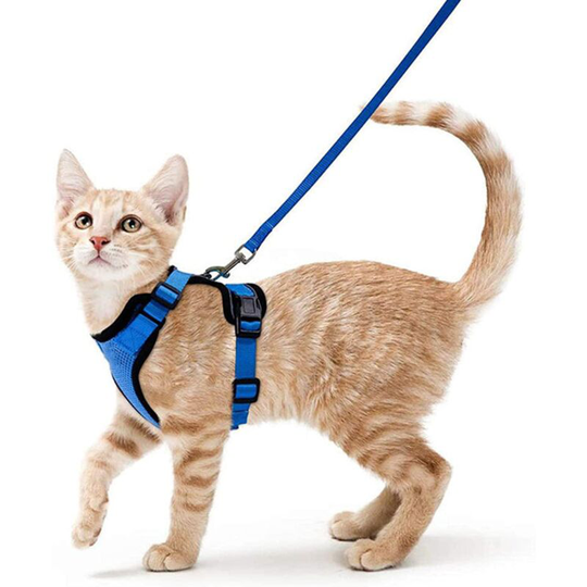 Perle Rare - Cat Harness Small Dog Leash Kitten Harness Adjustable Blue s Collar Reflective Cat Harness Vest Breathable Vest for Rabbit, European
