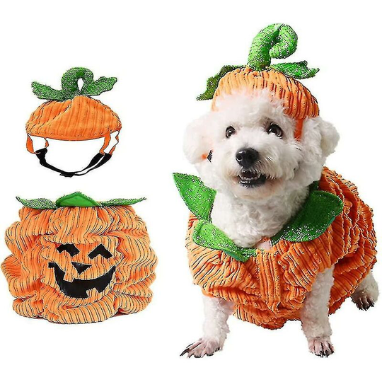 Thsinde - Halloween Pumpkin Dog Costume, Dog Cat Halloween Warm Costume Outfit Halloween Pet Cosplay Clothes For Small Medium Dogs Cats (1set-'m'