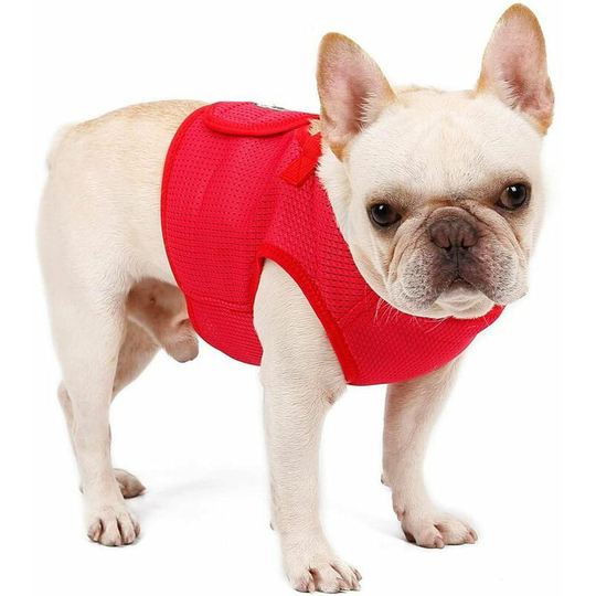 Small Dog Harness Lightweight Breathable Mesh Puppy Harness No Pull for Outdoor Walking(Red,Small) - Muff