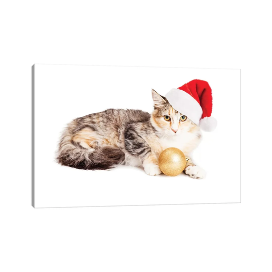 Cute Christmas Calico Kitten - Print on Canvas
