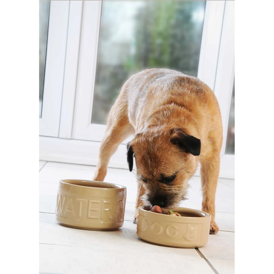 Cane Lettered Dog Food & Water Bowl