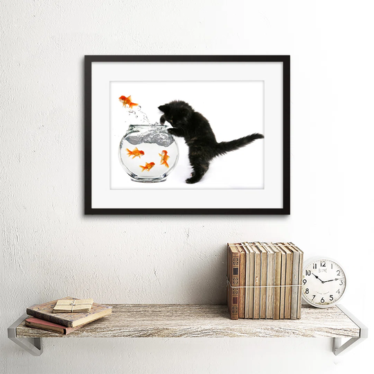 Photo Black Kitten Cat Goldfish Bowl Framed Wall Art Print