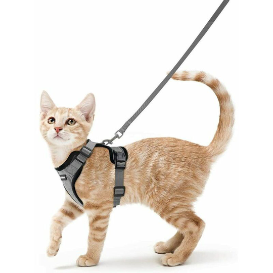 Monly - Cat Harness Small Dog Leash Adjustable Kitten Harness Gray xs Reflective Cat Harness Collar Breathable Vest for Rabbit, European Cat, Maine