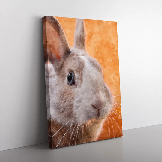 Bunny Rabbit In Colour Painting