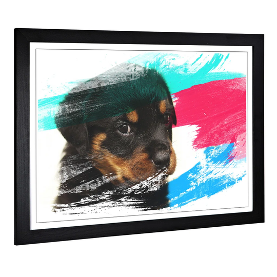 'Rottweiler Puppy Dog' Framed Art Print