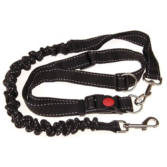 Multifunctional Adjustable Dog Leash, Dog Walking Lead, Adjustable Dog Seat Belt With Elastic Bungee And Reflective Stripe For Puppy