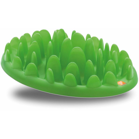 Slow Feeder - Green - ngg
