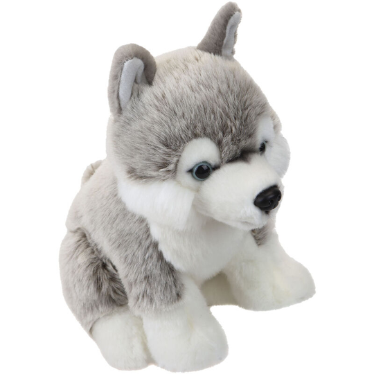 Vfm - Husky Puppy 25cm Plush Premium Lifelike Toy - Natural World Collection