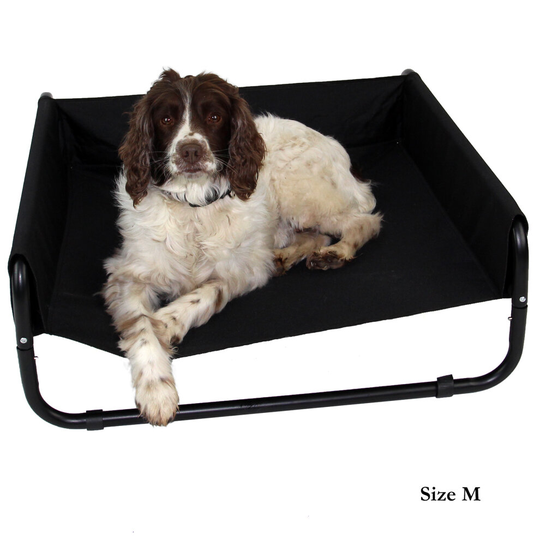 Medium Elevated Dog Bed with Raised Sides by Easipet