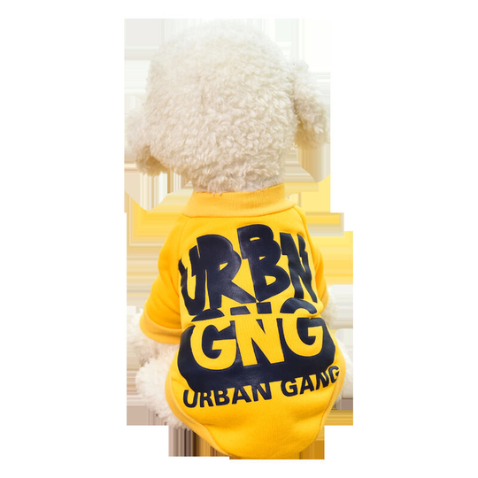Spring and Autumn Sweatshirt Teddy Bichon small puppy cats summer thin yellow ur (m), suitable for puppy girls and boys, soft puppy clothes for daily