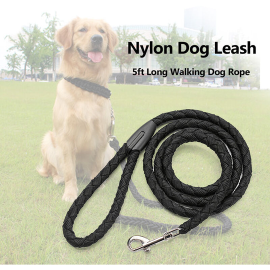 Nylon Dog Leash 5ft Long Walking Dog Rope Metal Clasp Dog Chain Traction Rope for Medium Dog Training Walking Outside, Black - Black