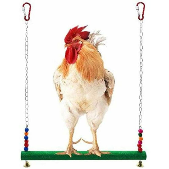 Chicken swing - Toys for chickens - Toy for chickens - Birds, parrot, macaw, hens - Swing ladder - For chickens and parrots
