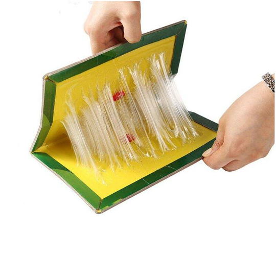 Mouse Trap, Powerful Anti Rat and Rodent Glue Boards (10 Rat Traps, Large Size 22*33CM)