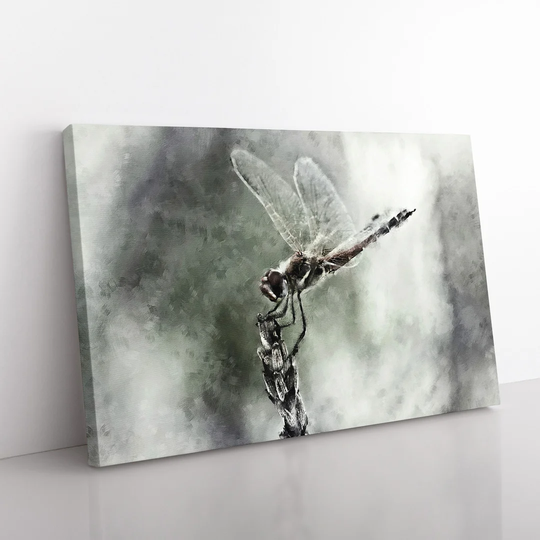 Perched Dragonfly Painting - Wrapped Canvas Graphic Art