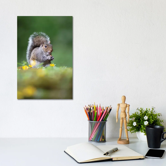 The Nut Thief by Dean Mason - Photograph Print on Canvas