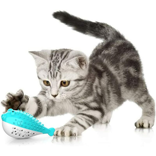 Cat Dental Toy, Cat Toy Silicone Molar Chew Toy Kitten Catnip Toothbrush Fish Shape Interactive Toy Cat Dental Hygiene (Blue)