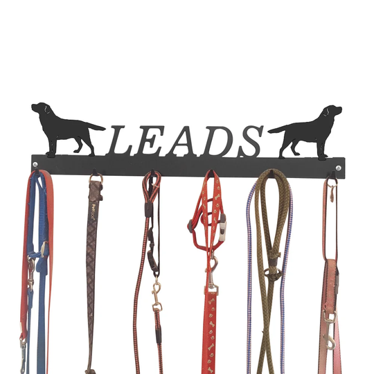 Almanett Wall Mounted Coat Rack