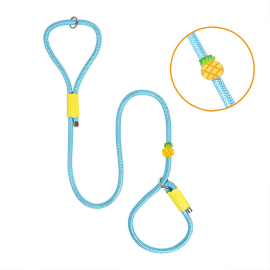 Nylon rope pet dog leash training big dog walking dog rope all-in-one, pearl blue-pineapple 180cm*10mm
