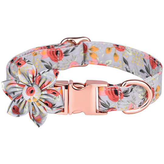 Cute Dog Collar With Detachable Knot, Nice Adjustable Collar Gift.