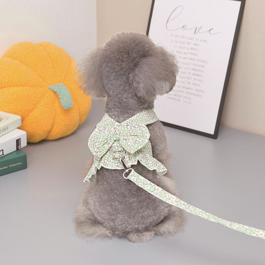 Spring and summer pet clothes kite knot chest and back flower dress can hang leash with d ring m (chest 37', neck 26', back 25' suitable for weight 5