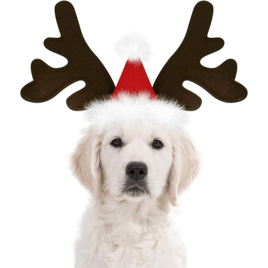 Dog Christmas Reindeer Antlers Headband Classic Elk Hat Headwear Pet Costumes Accessories