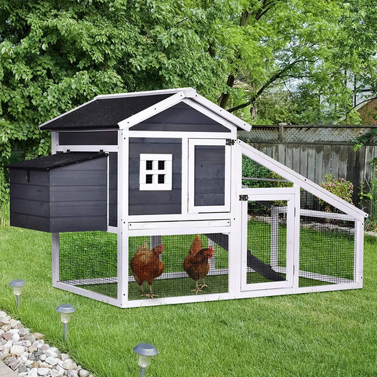 Maeva Chicken Coop with Nesting Box for up to 4 Chickens
