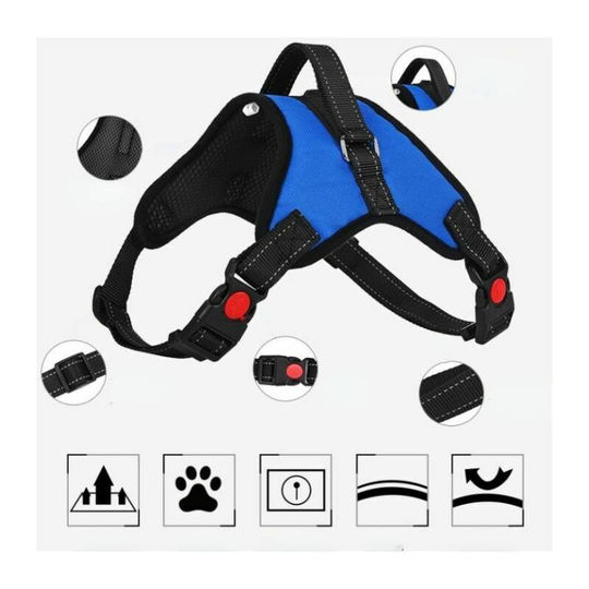 Monly - Pet Harness Cat Dog Harness 1m Adjustable Kitten Harness Blue m
