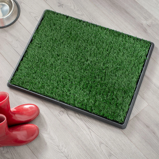 Pasquale Mat in Green