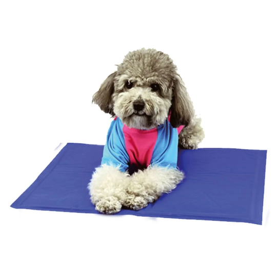 Dog Mat with Cooling in Blue