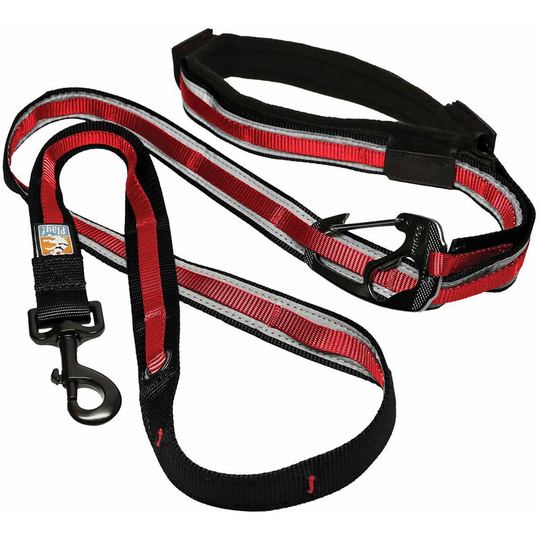 Reflect & Protect Quantum Lead - Small Red - Kurgo
