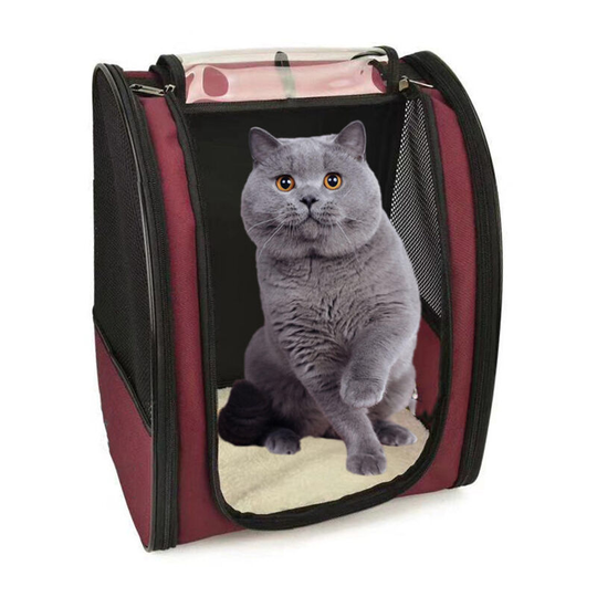 Expandable Cat Puppy Carrier Bag Dog Backpack Small Breathable Mesh, Spacious, Foldable, for Train/Car/Restaurant/Plane Travel