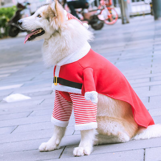 Perle Rare - Christmas Pet Costume, Christmas Dog Cosplay Outfit Cute Santa Claus Puppy Kitty Party Clothes Cat New Year Funny Dress Up Pet Parties