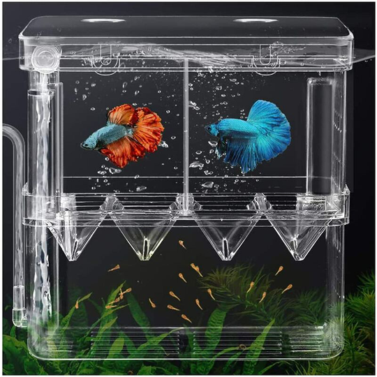 Fish Breeding Box Baby Fish Shrimp Hatchery Insulation Box Insulation Net Aquarium Fish Tank Guppy Tropical Fish Floating Fish Incubator