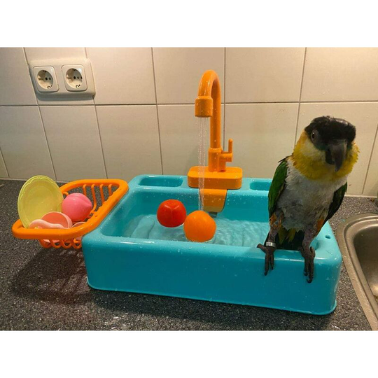 Automatic Bird Bath, Parrots, Swimming Pool, Bird Feeder, Pet, Bathtub With Faucet (Blue)