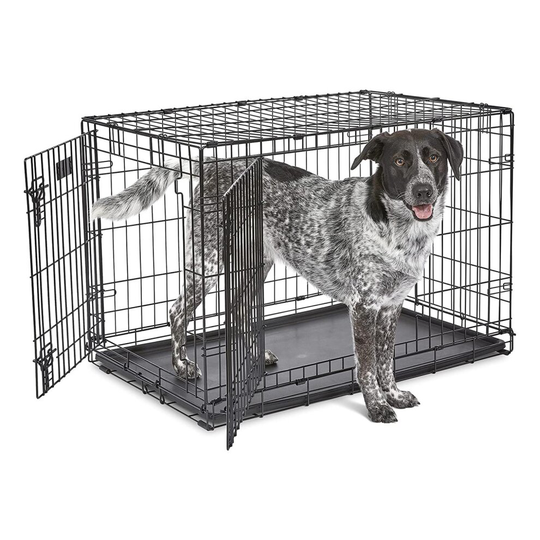 MidWest Home for Pets 91cm iCrate Double Door Folding Metal Crate Dog Kennel