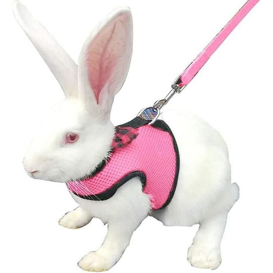 Rabbit Leash, Rabbit Hamster Vest Harness with Breathable Mesh Vest for Kitten Small Pets Walking