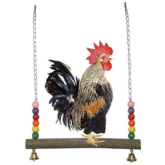 Large Parrot Training Standing Swing Stand - Thsinde