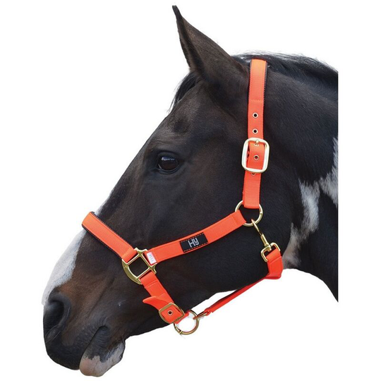 Hy Grand Prix Head Collar (Cob) (Hot Orange) - Hot Orange