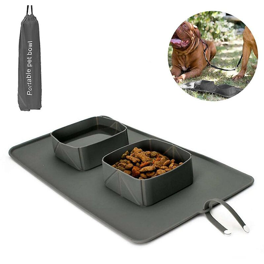 Folding Silicone Double Bowl Grey- SSXJV