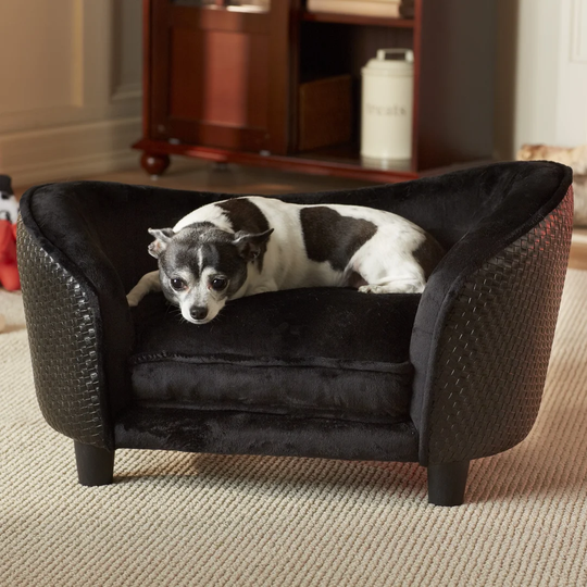 Constantine Snuggle Dog Sofa with Loft Cushion