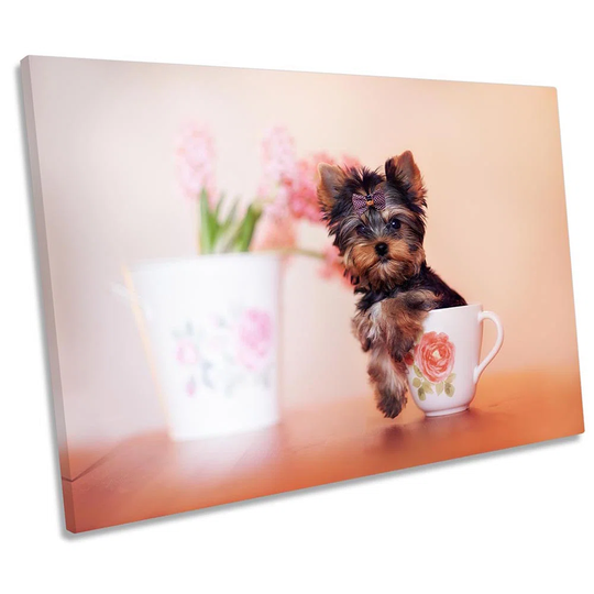 Yorkie Puppy Teacup - Wrapped Canvas Photograph