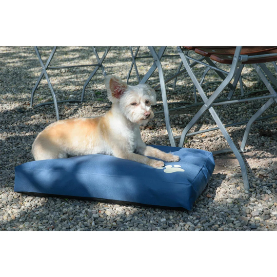 Crumb Dog Pillow with Blue