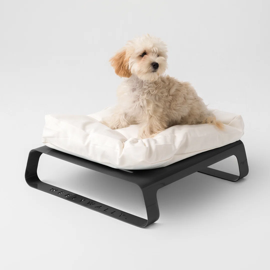 Coaling Designer Orthopedic Rectangular Cat Bed