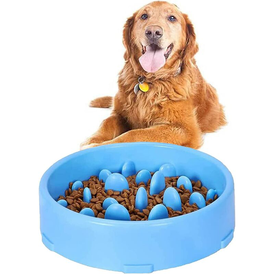 Slow Feeding Bowl for Dogs, Slow and Interactive Feeding for Animals, Bowl for